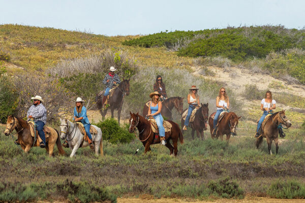 Horseback Riding in the Retreat / Playa Los Cerritos, Baja California Sur, México / Cerritos Surfers