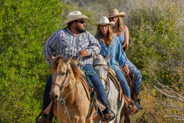 Horseback Riding in the Retreat / Playa Los Cerritos, Baja California Sur, México / Cerritos Surfers
